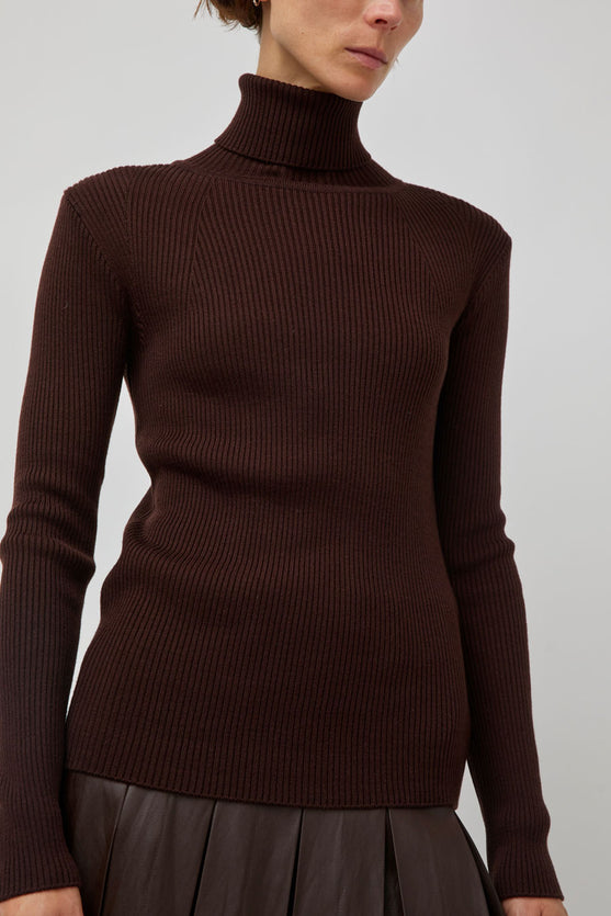 TONYWACK Slim-Fit Ribbed Turtleneck in Brown
