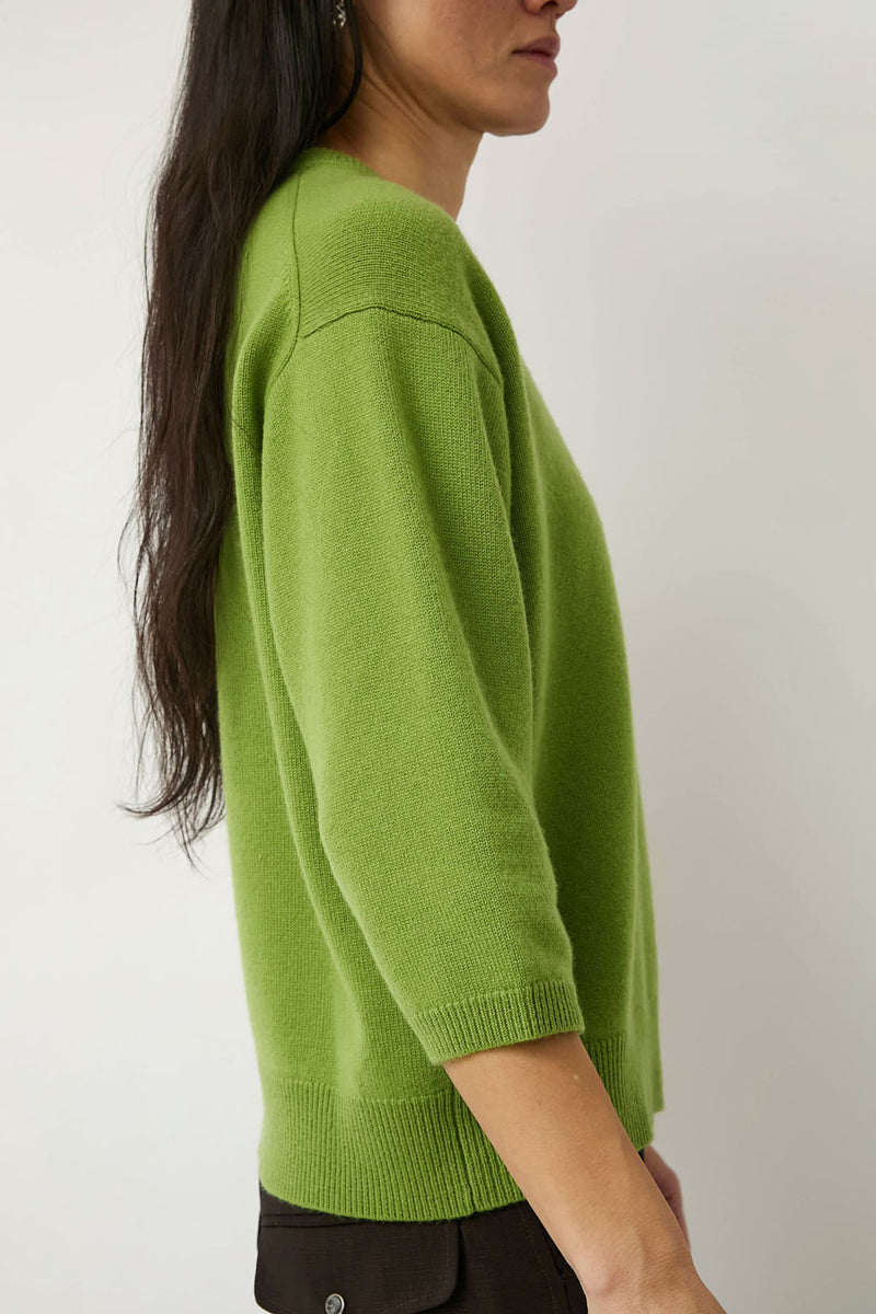6397 Elbow V Neck Cashmere Sweater in Basil