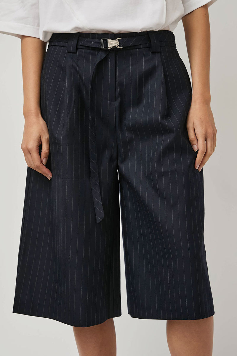 ARCS Power Shorts in Pinstripe