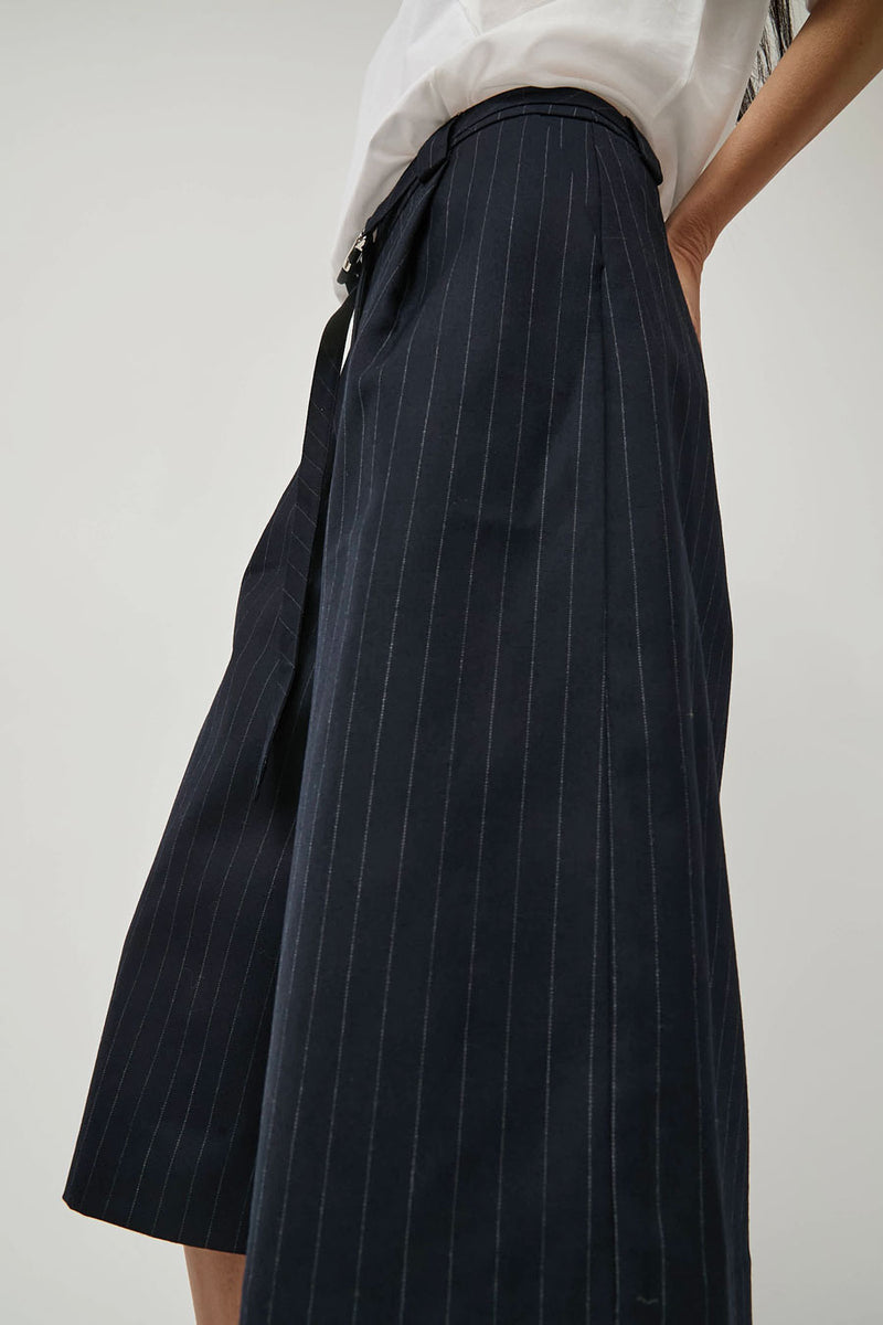 ARCS Power Shorts in Pinstripe