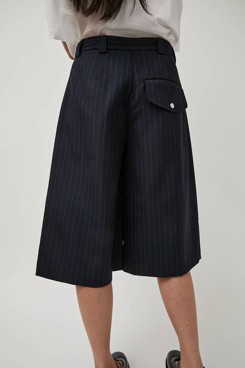 ARCS Power Shorts in Pinstripe