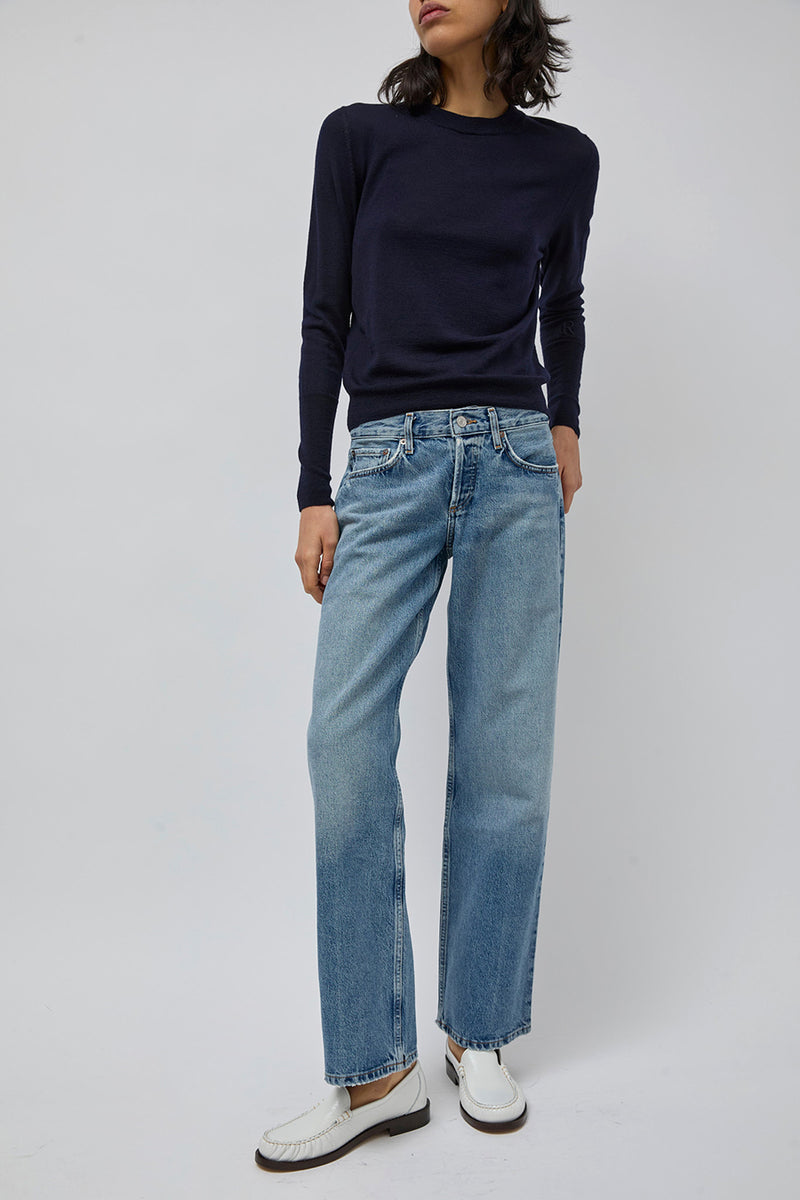 Agolde Low Rise Loose Jean in Vault