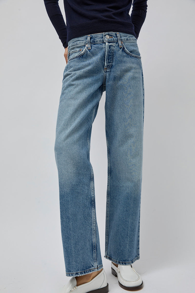 Agolde Low Rise Loose Jean in Vault