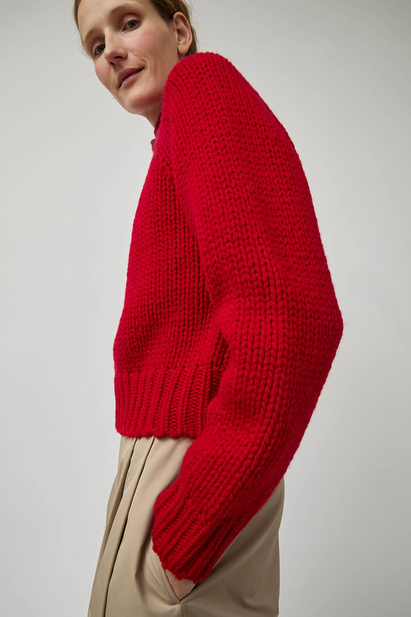 Amomento Hand Knitted Half Neck Pullover in Red
