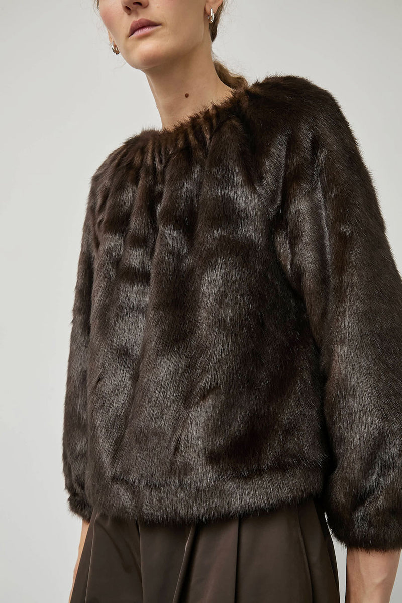 Amomento Shearing Off Shoulder Top in Dark Brown