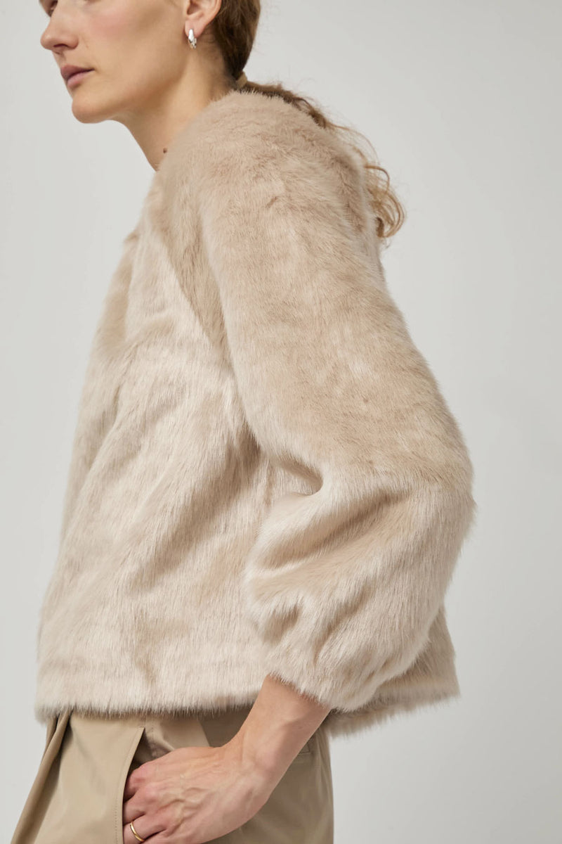 Amomento Shearing Off Shoulder Top in Ivory