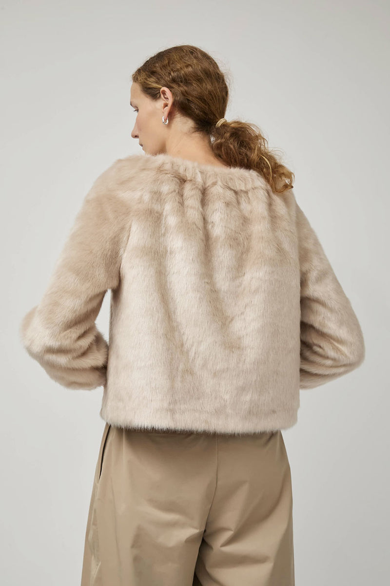 Amomento Shearing Off Shoulder Top in Ivory