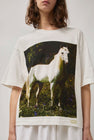 Anntian Classic T-Shirt in White Horse
