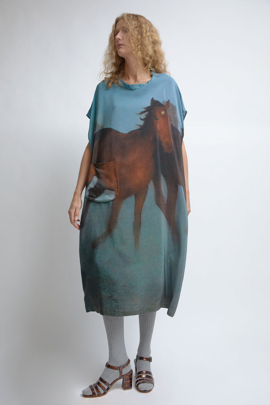 Anntian Overdress in Print H Wild Horses