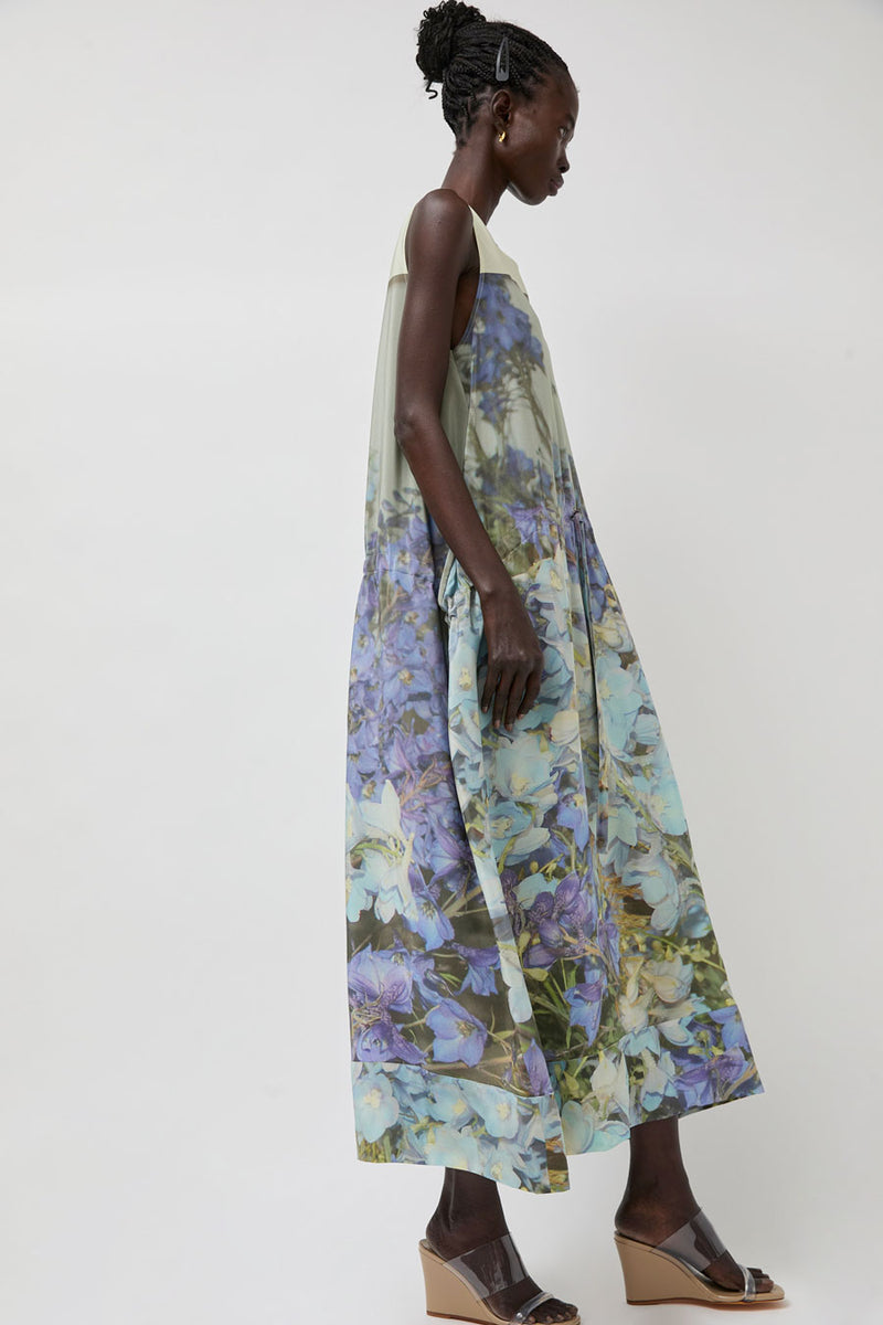 Anntian Silk Dress in Print Q Delphinium