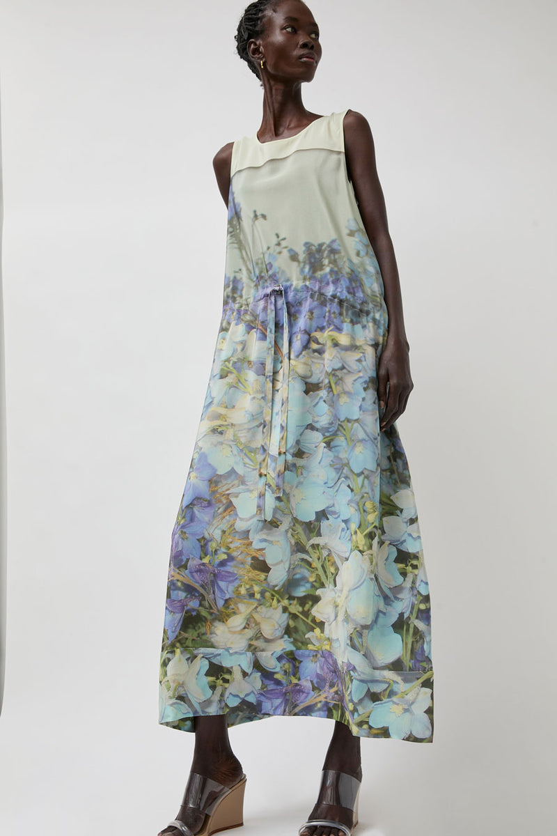 Anntian Silk Dress in Print Q Delphinium