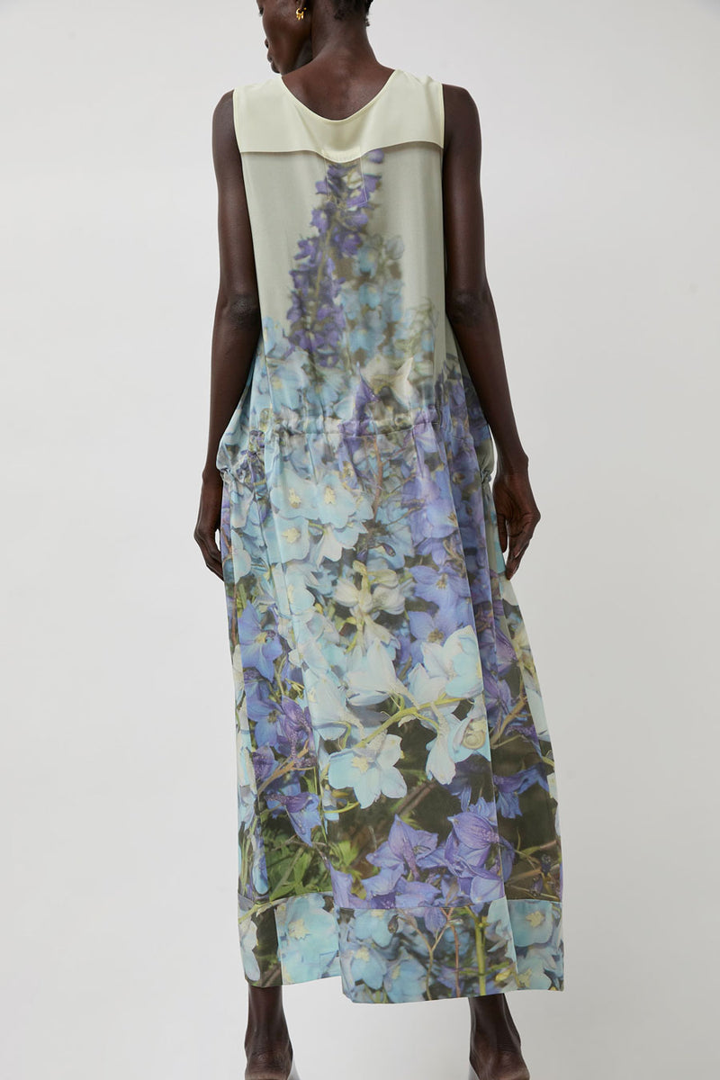 Anntian Silk Dress in Print Q Delphinium