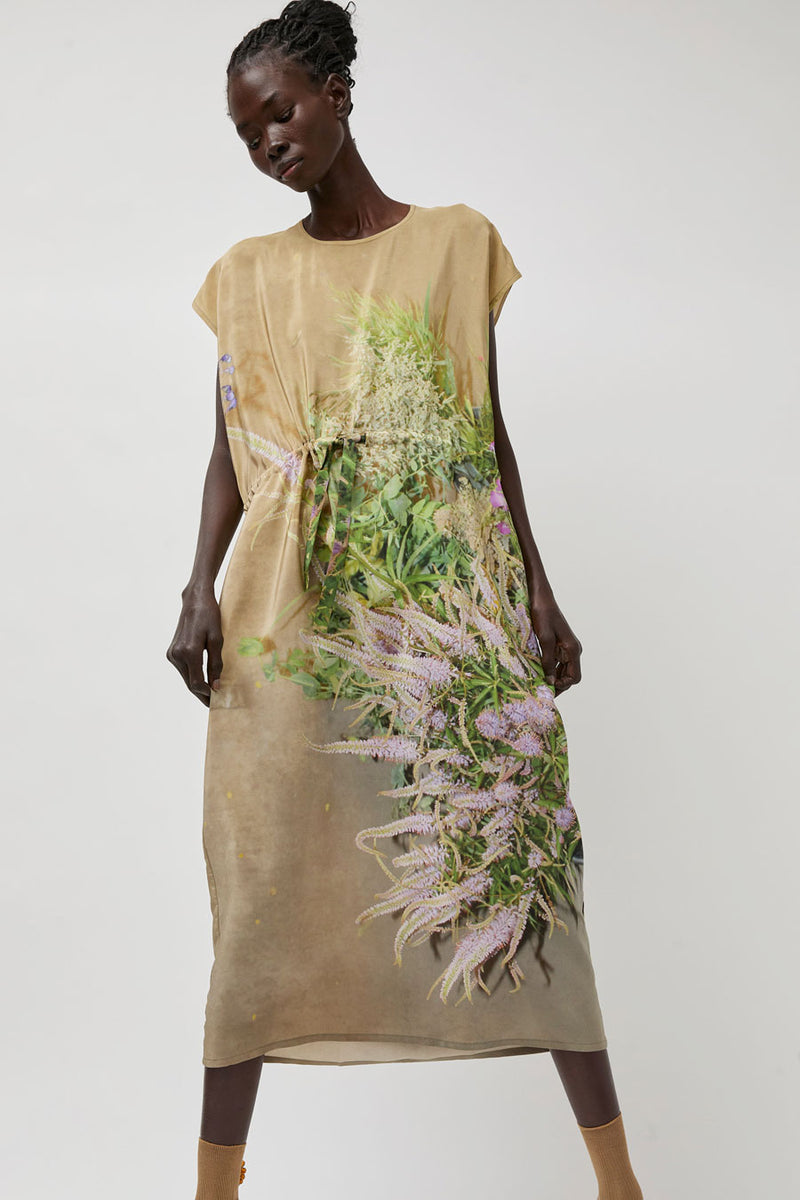 Anntian Simple Dress in Print B Delphine Grasses Veronica