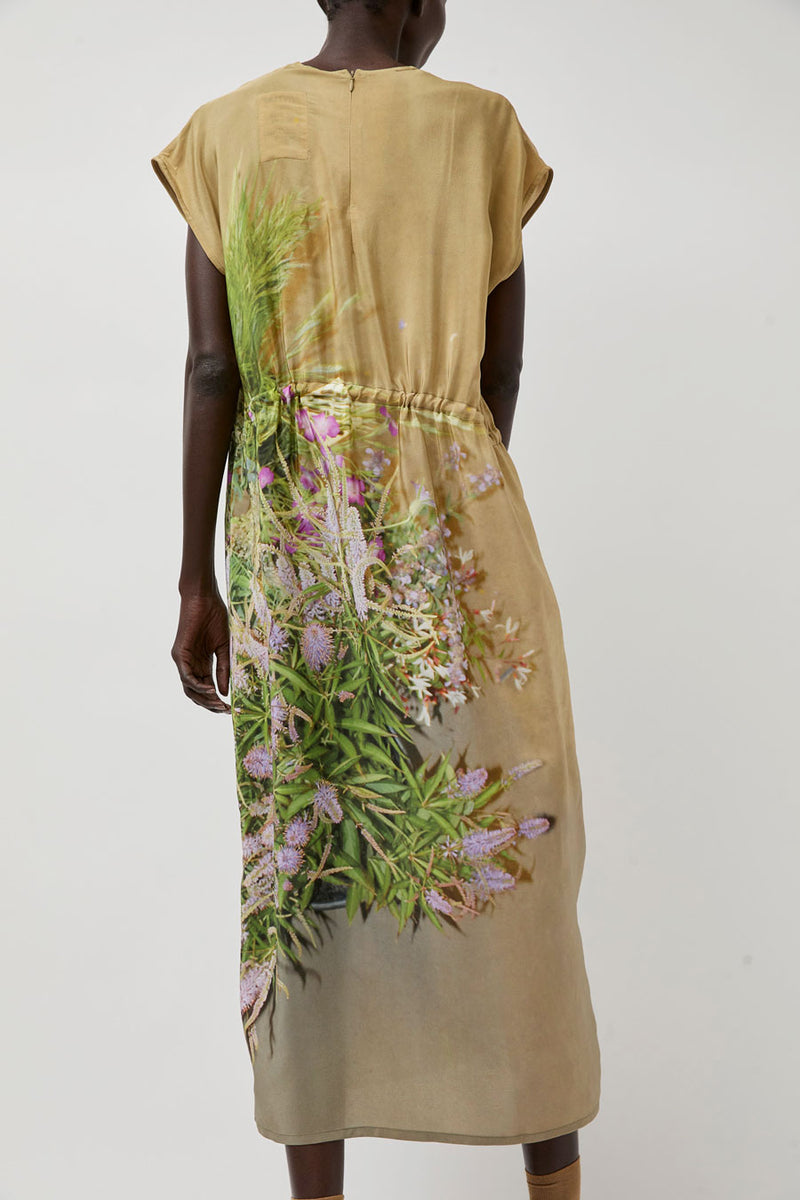 Anntian Simple Dress in Print B Delphine Grasses Veronica