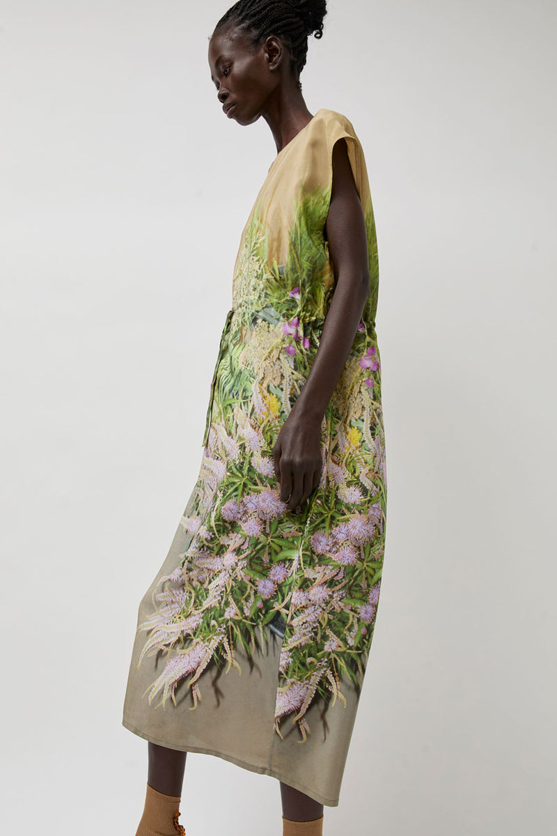 Anntian Simple Dress in Print B Delphine Grasses Veronica