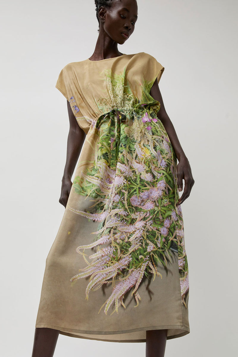 Anntian Simple Dress in Print B Delphine Grasses Veronica