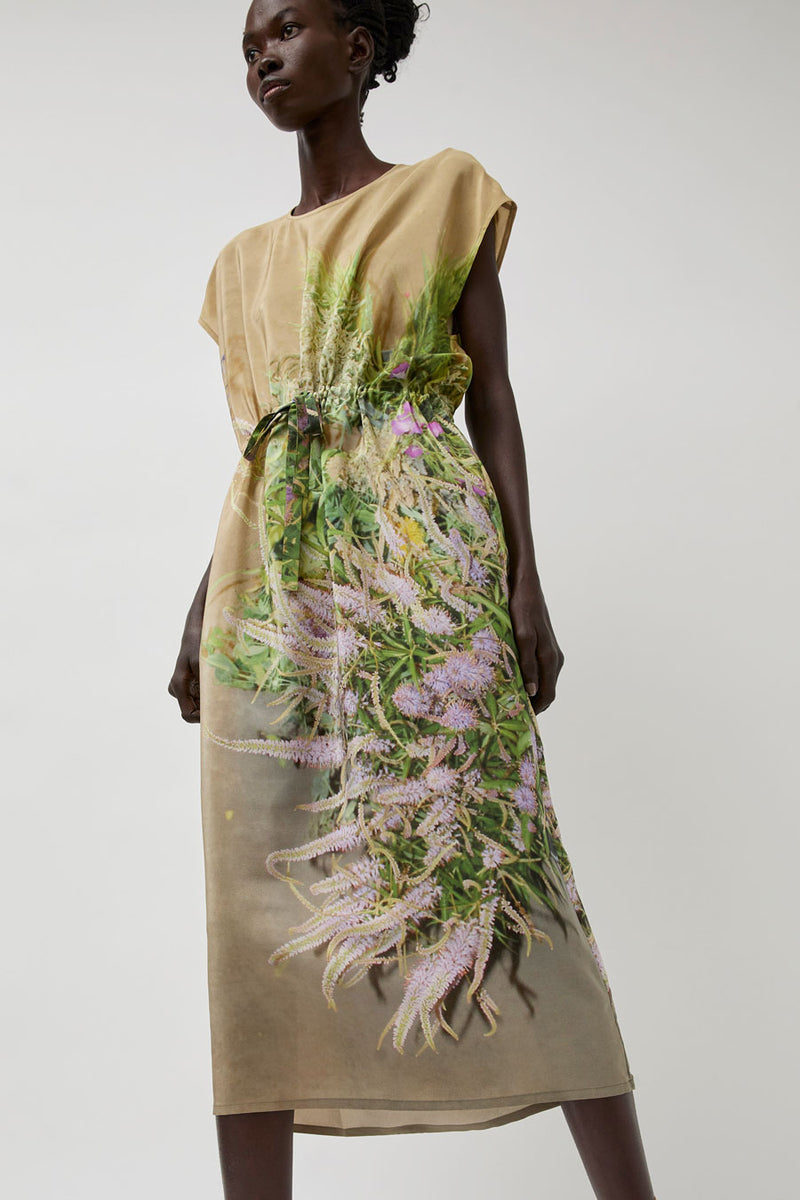 Anntian Simple Dress in Print B Delphine Grasses Veronica