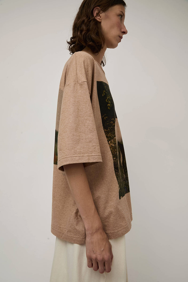 Anntian T-Shirt in Horse Print