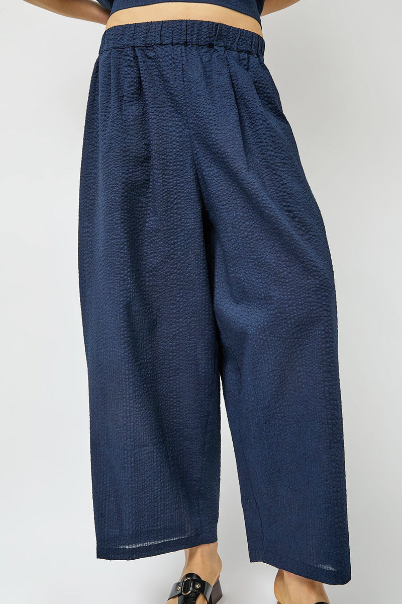 Black Crane Wide Pants in Navy
