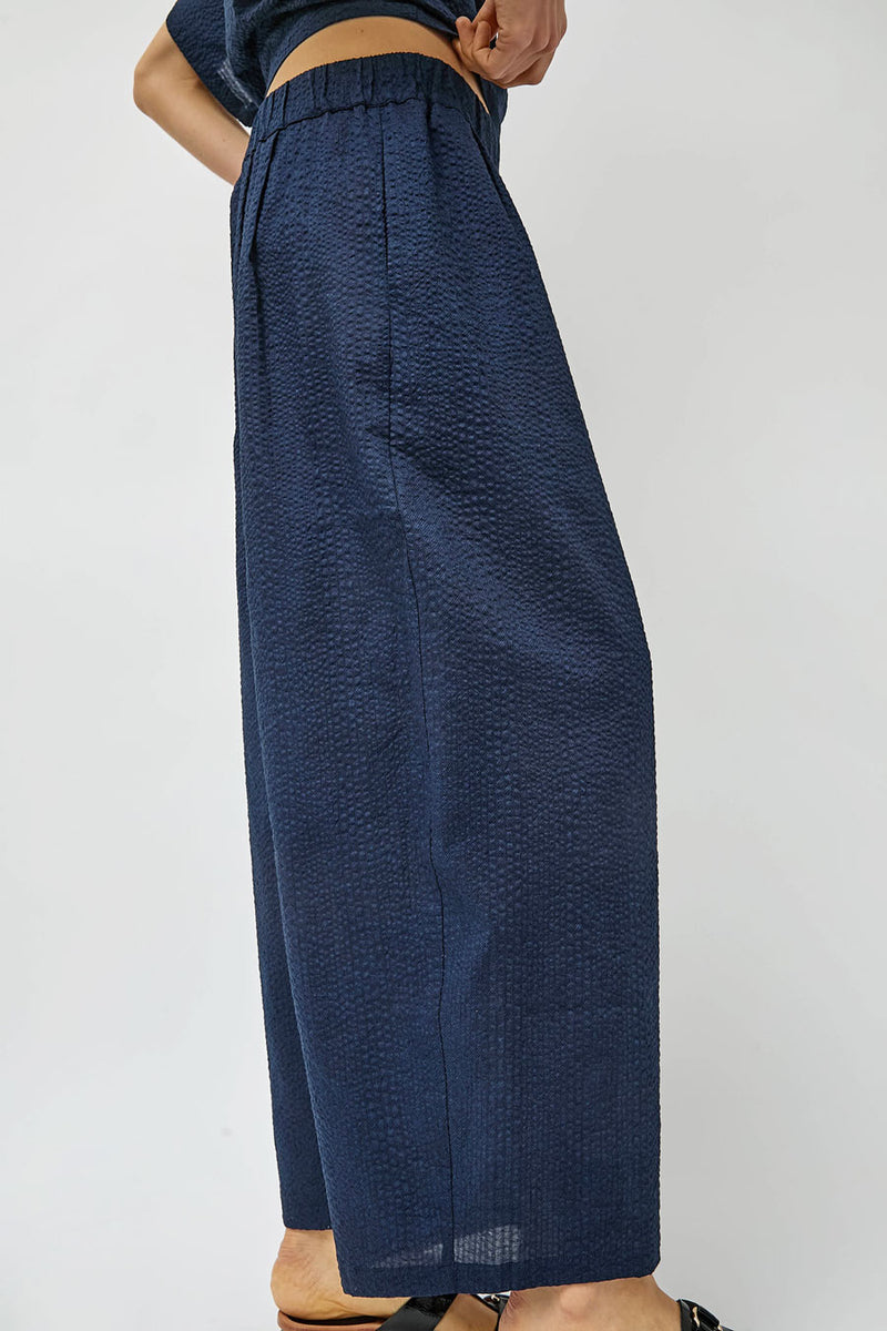 Black Crane Wide Pants in Navy
