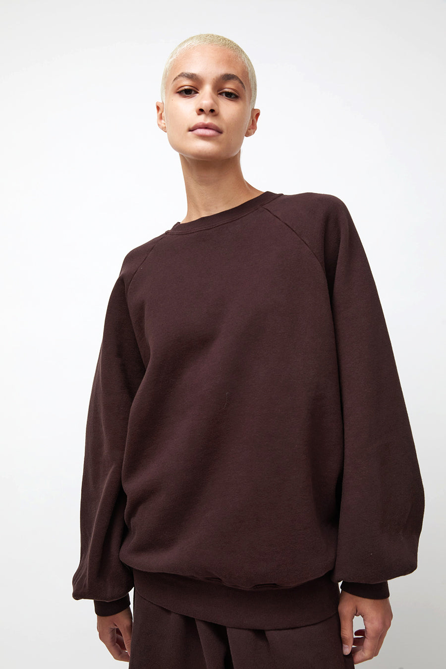 Black Crane Raglan Sweatshirt in Dark Cacao