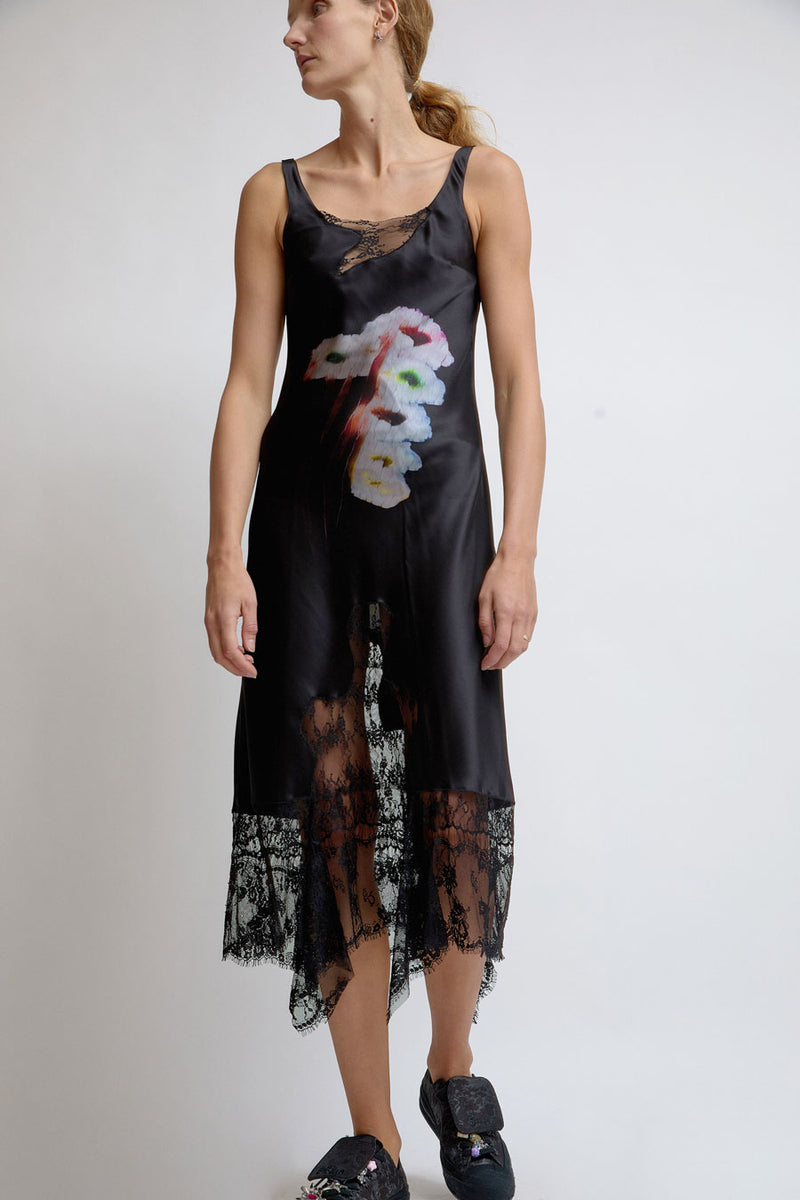 Collina Strada Anemone Dress in Hollow Blossom