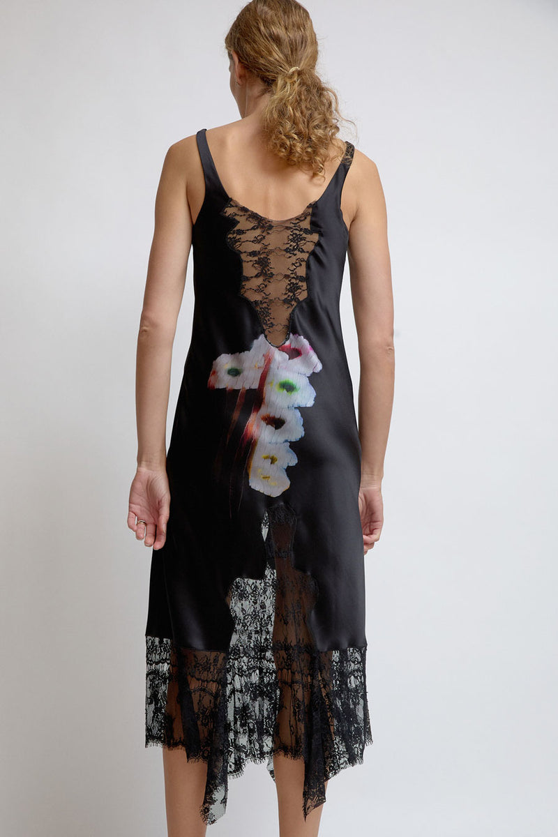 Collina Strada Anemone Dress in Hollow Blossom