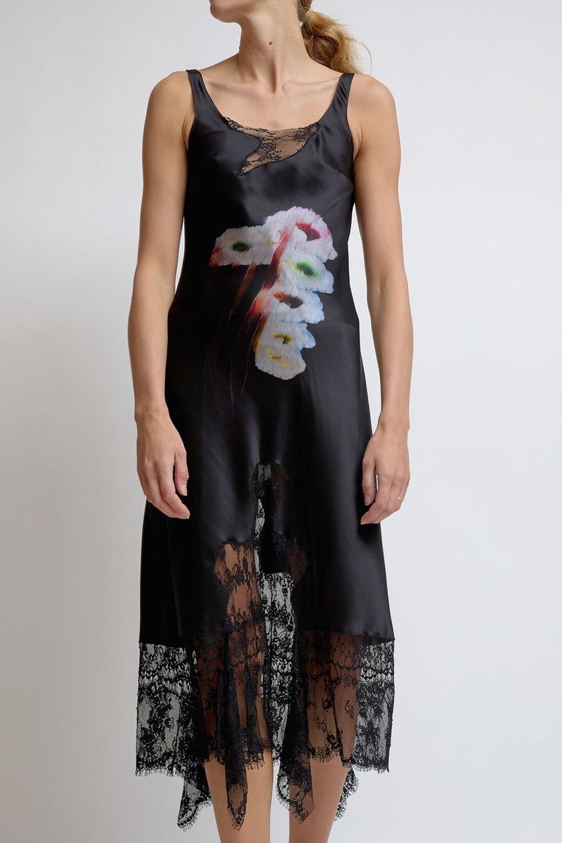 Collina Strada Anemone Dress in Hollow Blossom