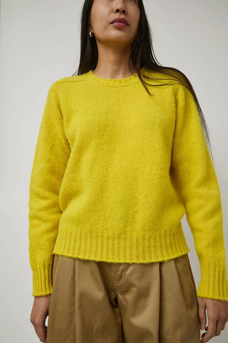 HOWLIN' Shaggy Bear Sweater in Sunny Side