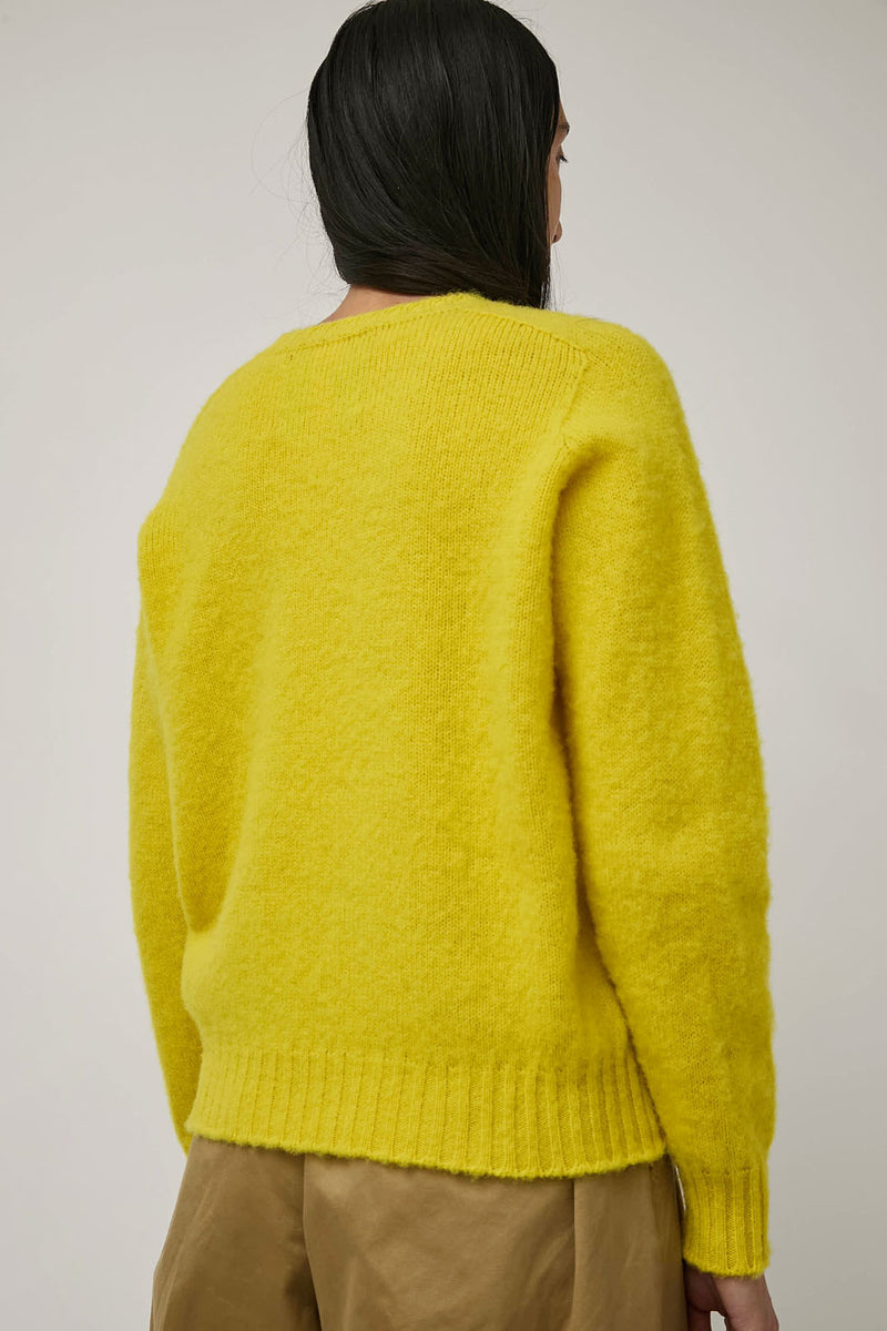 HOWLIN' Shaggy Bear Sweater in Sunny Side
