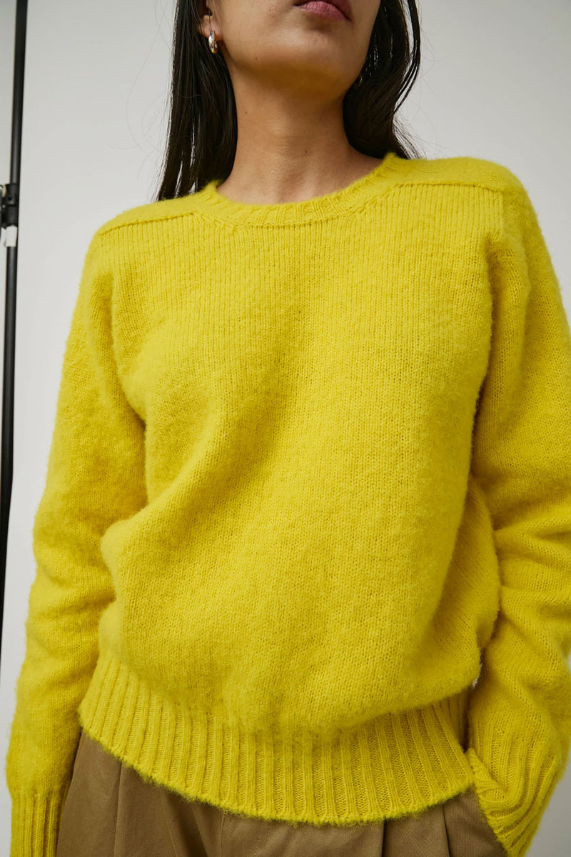 HOWLIN' Shaggy Bear Sweater in Sunny Side