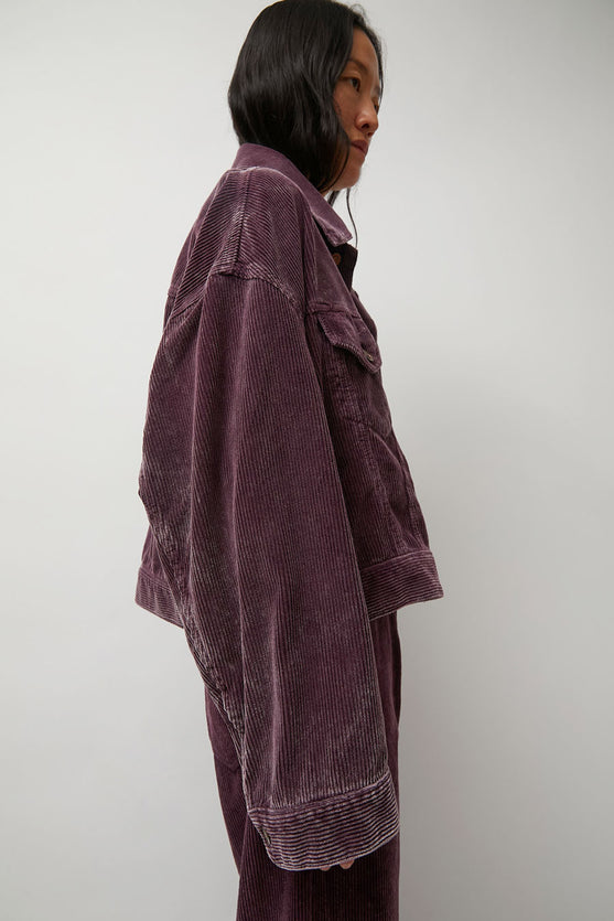 Haikure Spencer Jacket in Wine Velvet