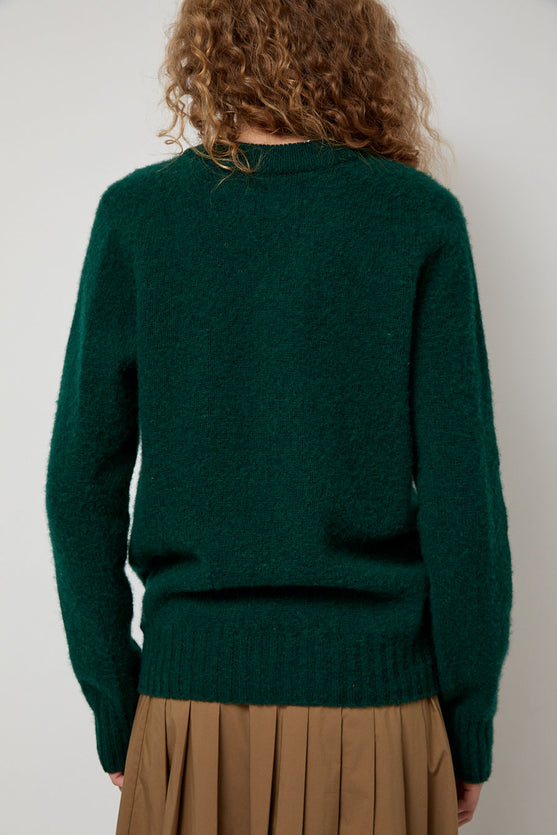 HOWLIN' Future Memories V Neck Sweater in Forest