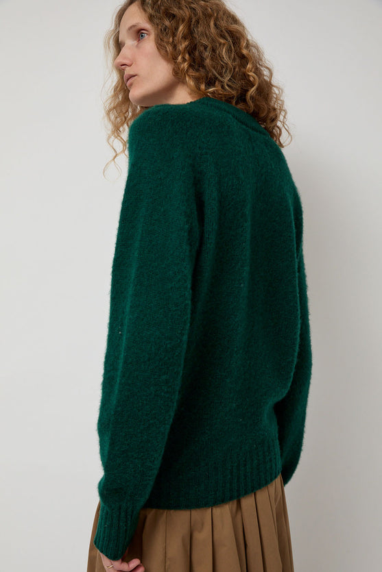 HOWLIN' Future Memories V Neck Sweater in Forest