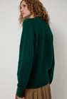 HOWLIN' Future Memories V Neck Sweater in Forest