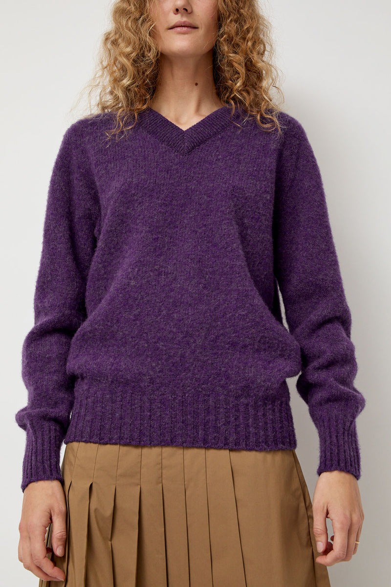 HOWLIN' Future Memories V Neck Sweater in Lavender