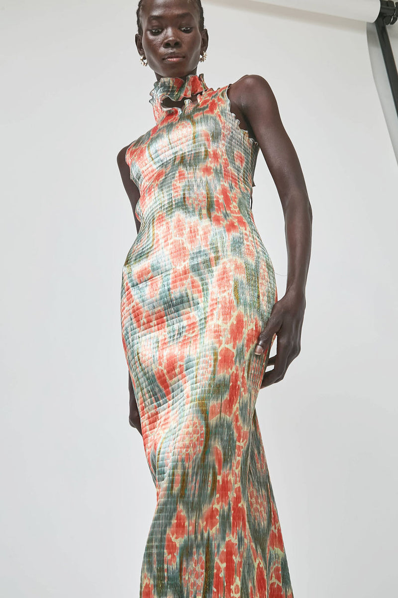 Julia Heuer Tito Dress in Gallia