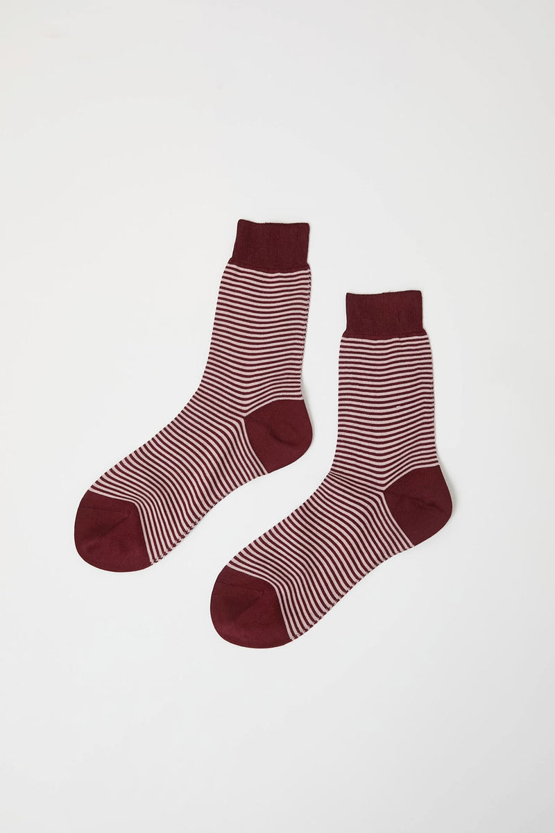 Maria La Rosa Fine Stripe Cotton Socks in Brown