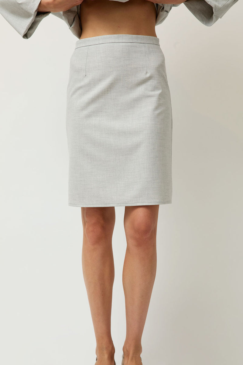 Michelle Del Rio Elena Skirt in Grey