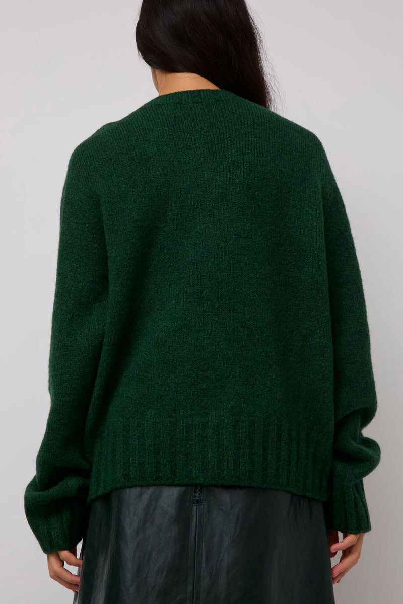 Mijeong Park Alpaca Blend Wholegarment Knit in Green
