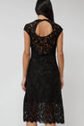 No.6 Erika Dress in Black Lace