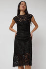 No.6 Erika Dress in Black Lace