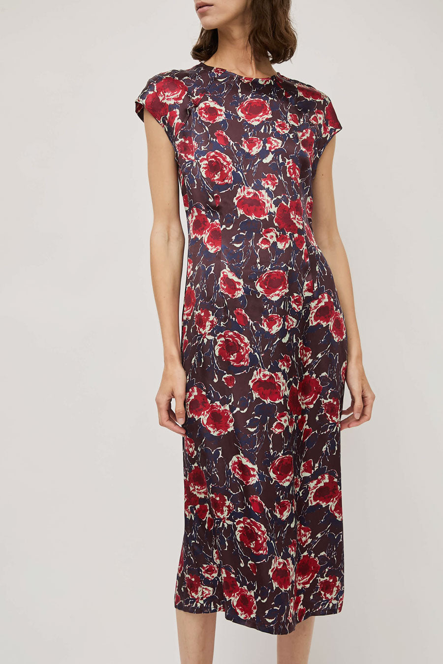 No.6 Erika Dress in Red Roses