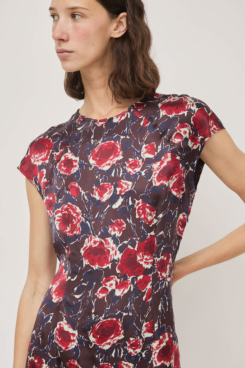 No.6 Erika Dress in Red Roses