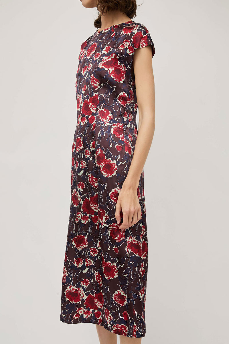 No.6 Erika Dress in Red Roses