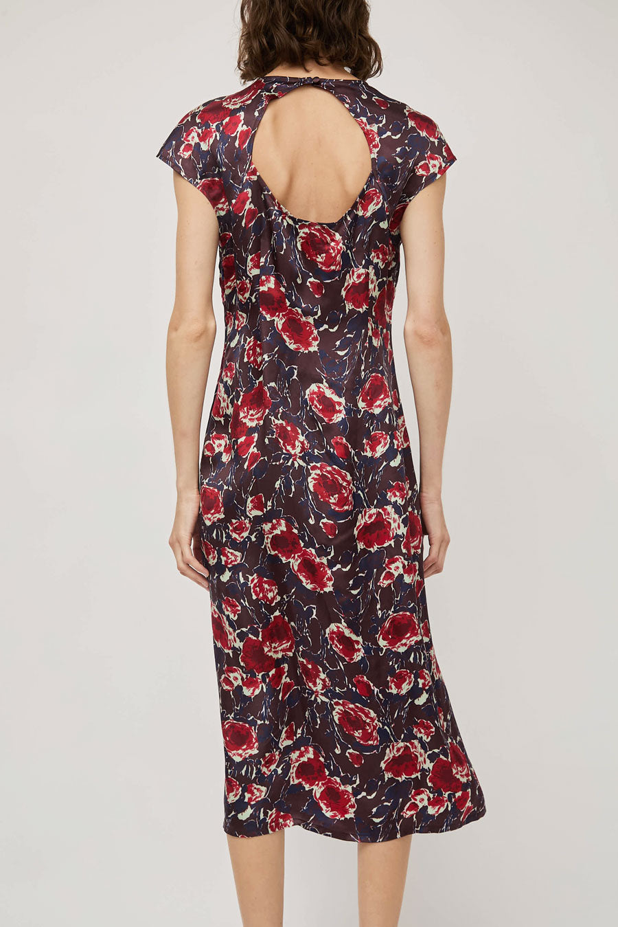No.6 Erika Dress in Red Roses