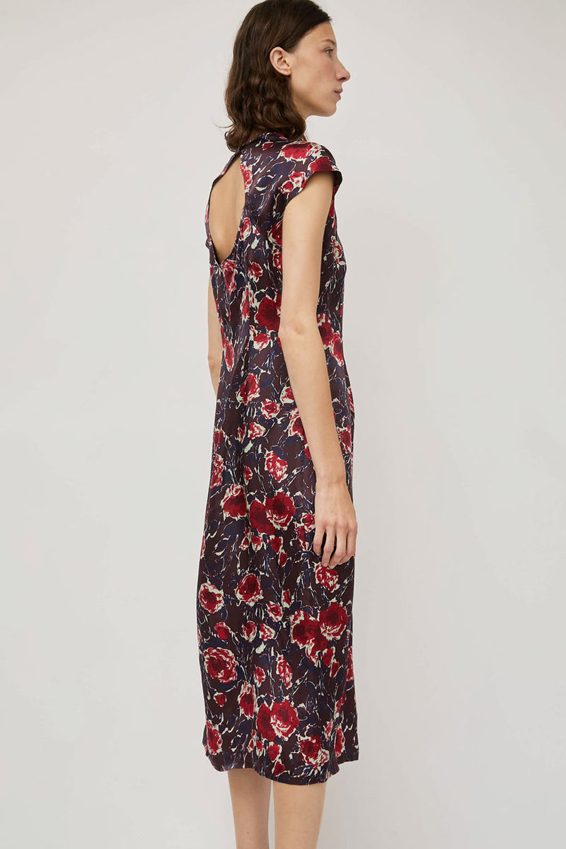 No.6 Erika Dress in Red Roses