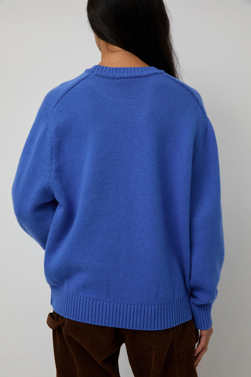Nothing Written Jude Round Pullover in Blue