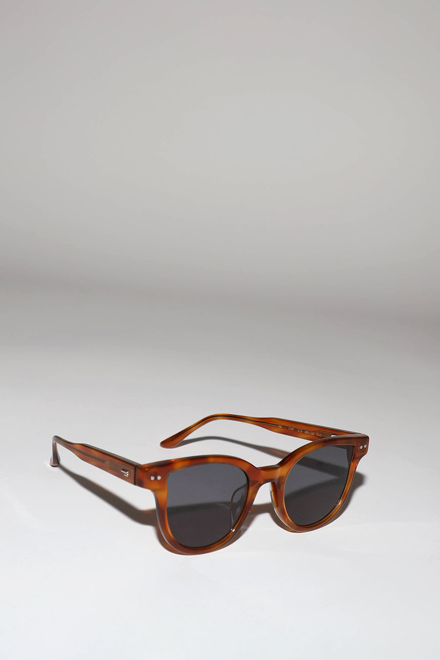 Projekt Produkt FS9 Sunglasses in Tortoise with Black