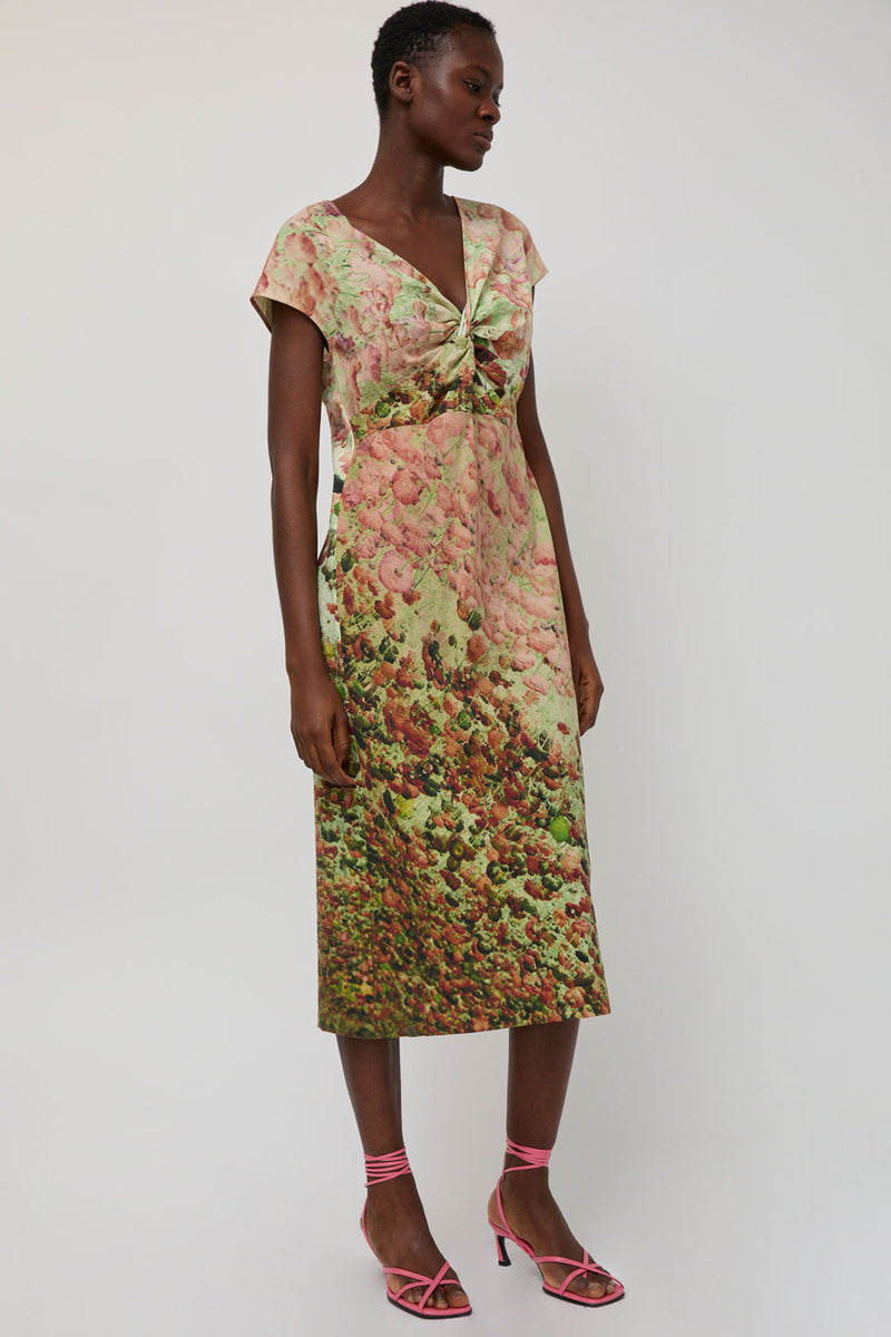 No.6 Naomi Dress in Auburn Floral